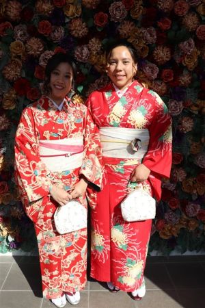 特別サイズ