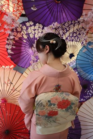 名古屋帯プラン