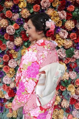 名古屋帯プラン