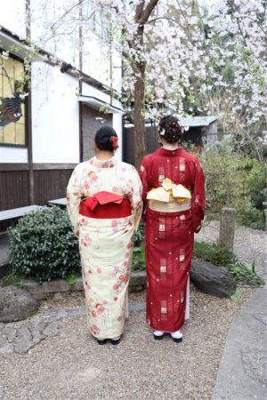特別サイズ