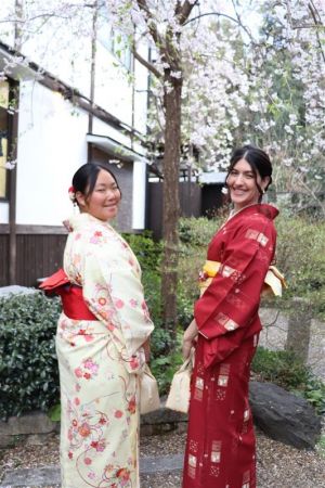 特別サイズ