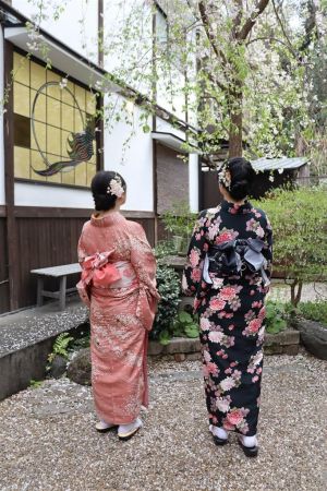 小紋