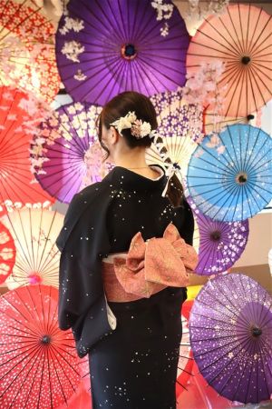 小紋