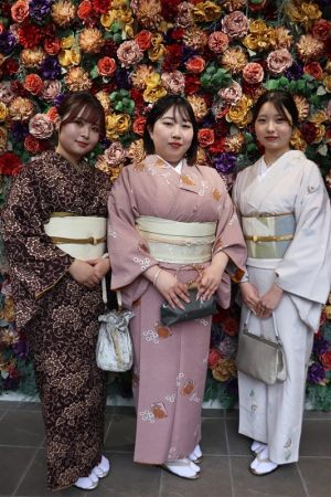 名古屋帯プラン