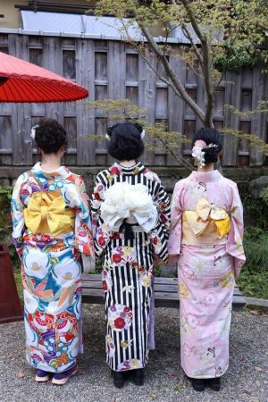 特別サイズ