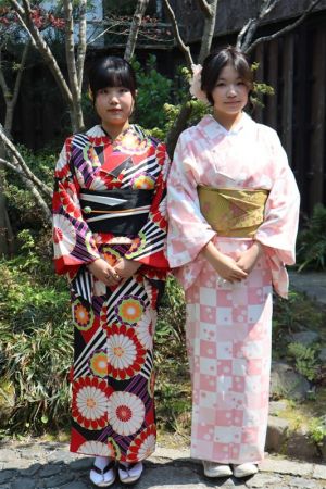 小紋