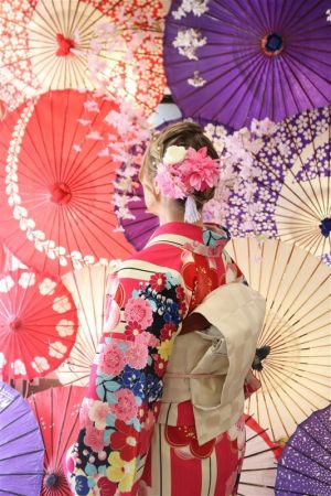名古屋帯プラン