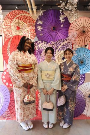 特別サイズ