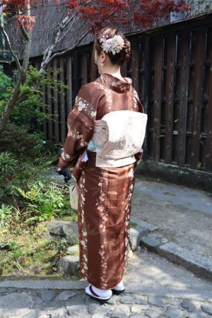名古屋帯プラン