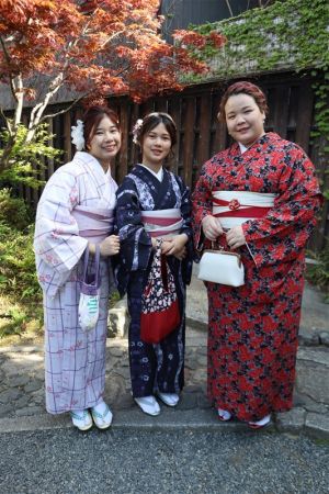 特別サイズ