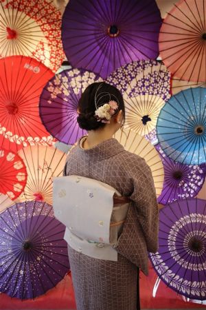 名古屋帯プラン