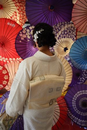名古屋帯プラン