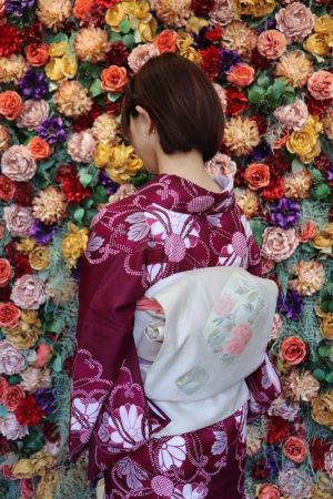 名古屋帯プラン