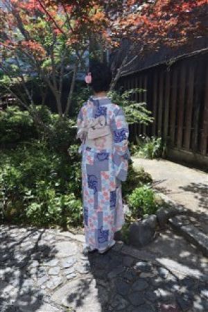小紋
