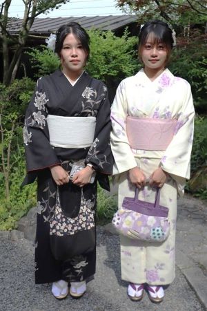 小紋