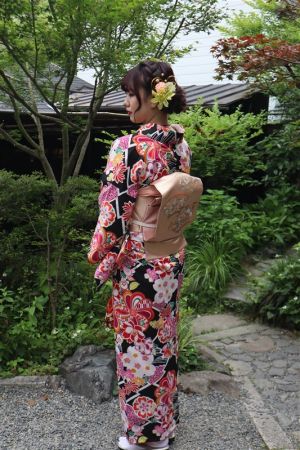 名古屋帯プラン