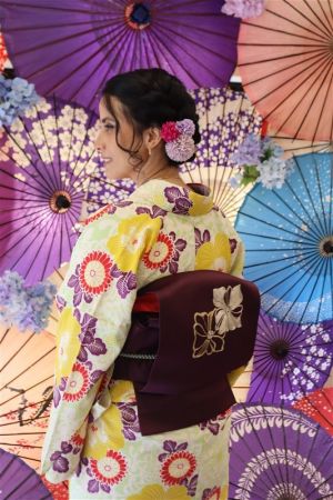 名古屋帯プラン