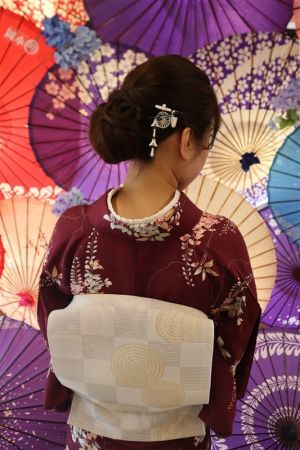 名古屋帯プラン