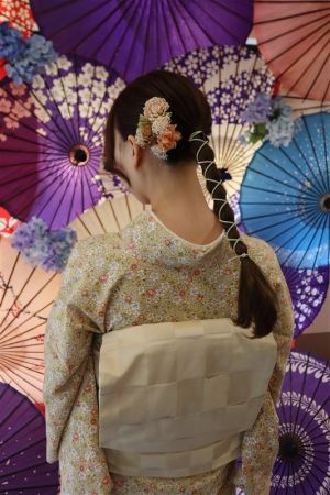 名古屋帯プラン