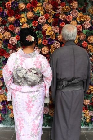 小紋