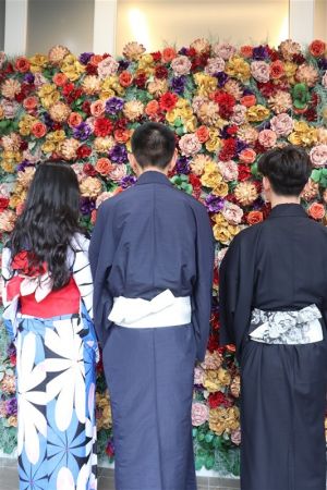 小紋