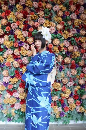 名古屋帯プラン