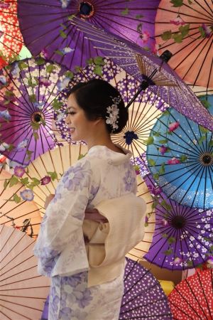 名古屋帯プラン