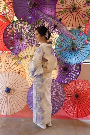 名古屋帯プラン