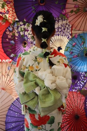 学割プラン