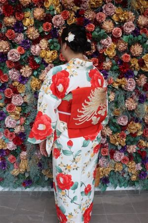 名古屋帯プラン