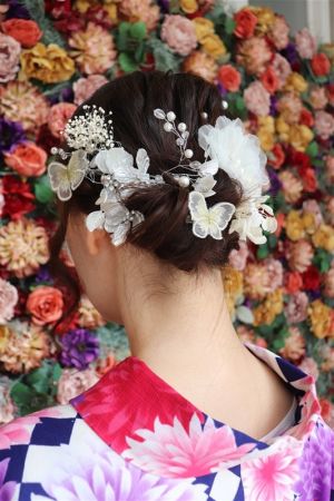 フリーチョイスヘアセット