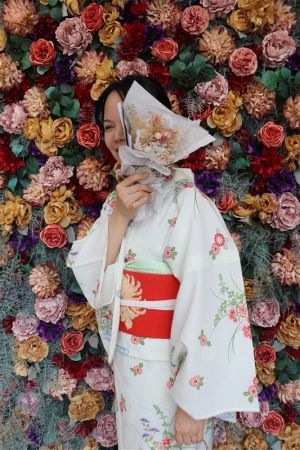 名古屋帯プラン