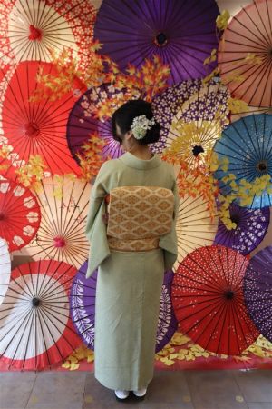 名古屋帯プラン