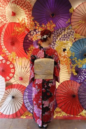 名古屋帯プラン