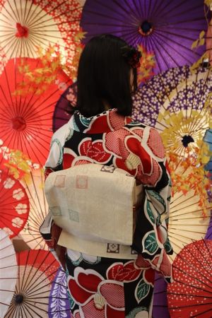 名古屋帯プラン