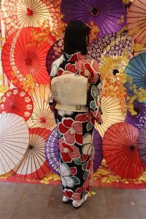 名古屋帯プラン