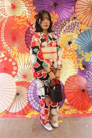 名古屋帯プラン