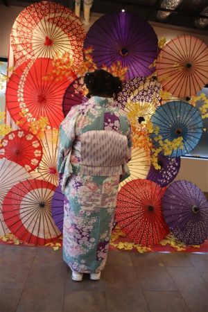 特別サイズ