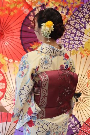 名古屋帯プラン