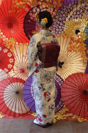 名古屋帯プラン