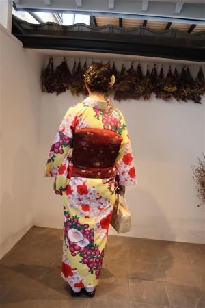 名古屋帯プラン