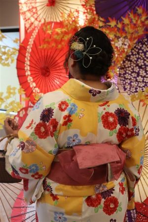 特別サイズ