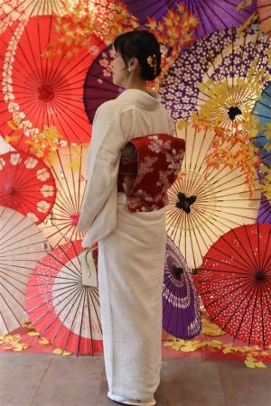 名古屋帯プラン