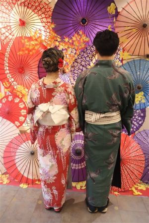 小紋