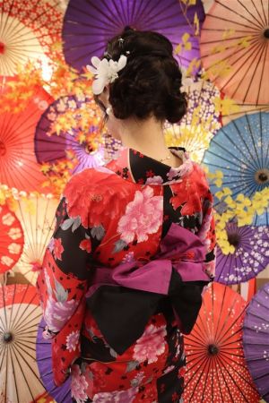 小紋