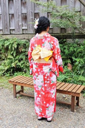 特別サイズ