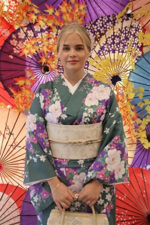 名古屋帯プラン
