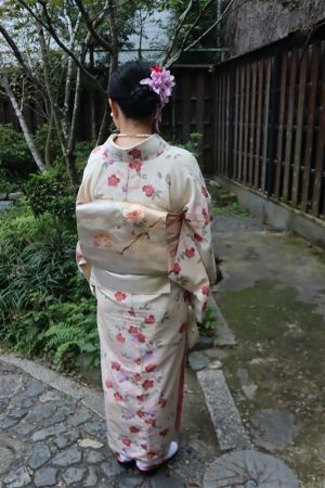 名古屋帯プラン