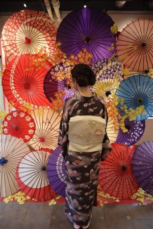 名古屋帯プラン