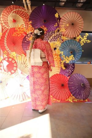 名古屋帯プラン